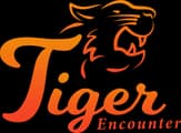 Tiger Encounter