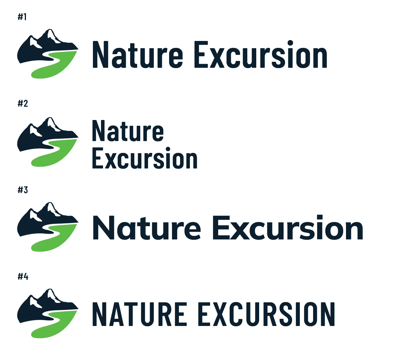 Four shortlisted logos, numbered 1 to 4: the new mark beside the name in condensed and wide typefaces, on one line or two, in small letters and in capitals