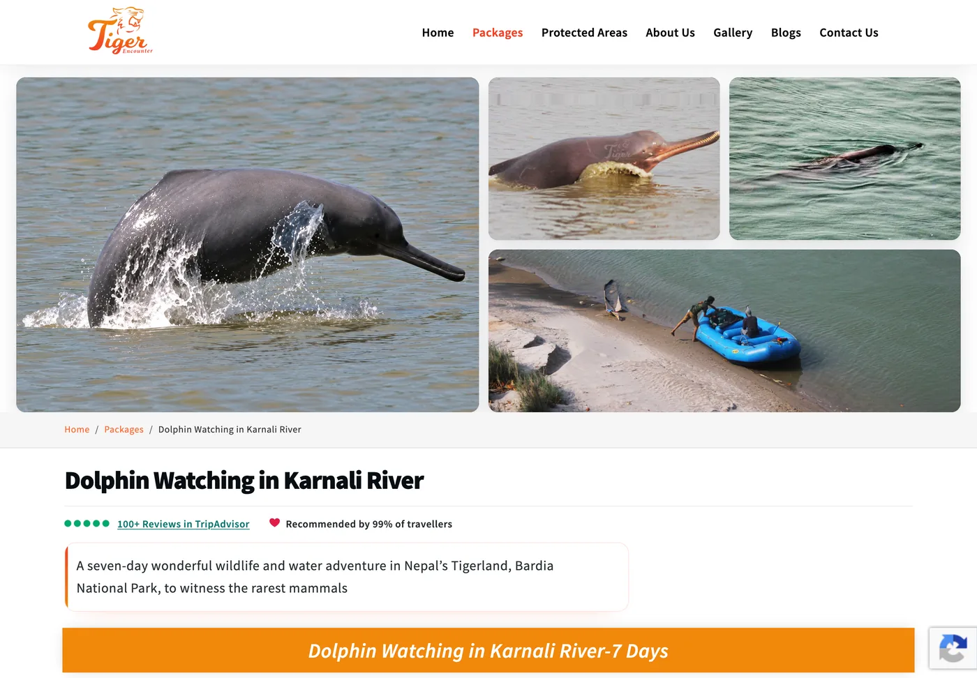A Tiger Encounter package page, Dolphin Watching in Karnali River: photographs of river dolphins and a raft on the shore, the Tripadvisor rating, a line on the seven-day trip in Bardia National Park, and the trip bar